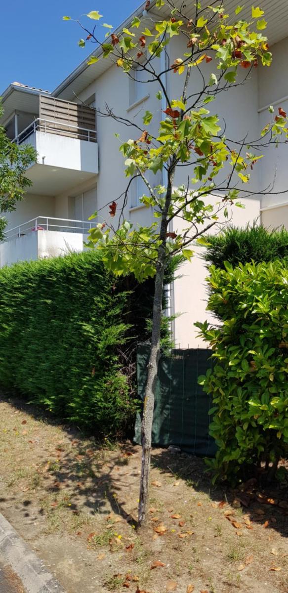 Appartement 2 pièces avec jardin privatif - Housity