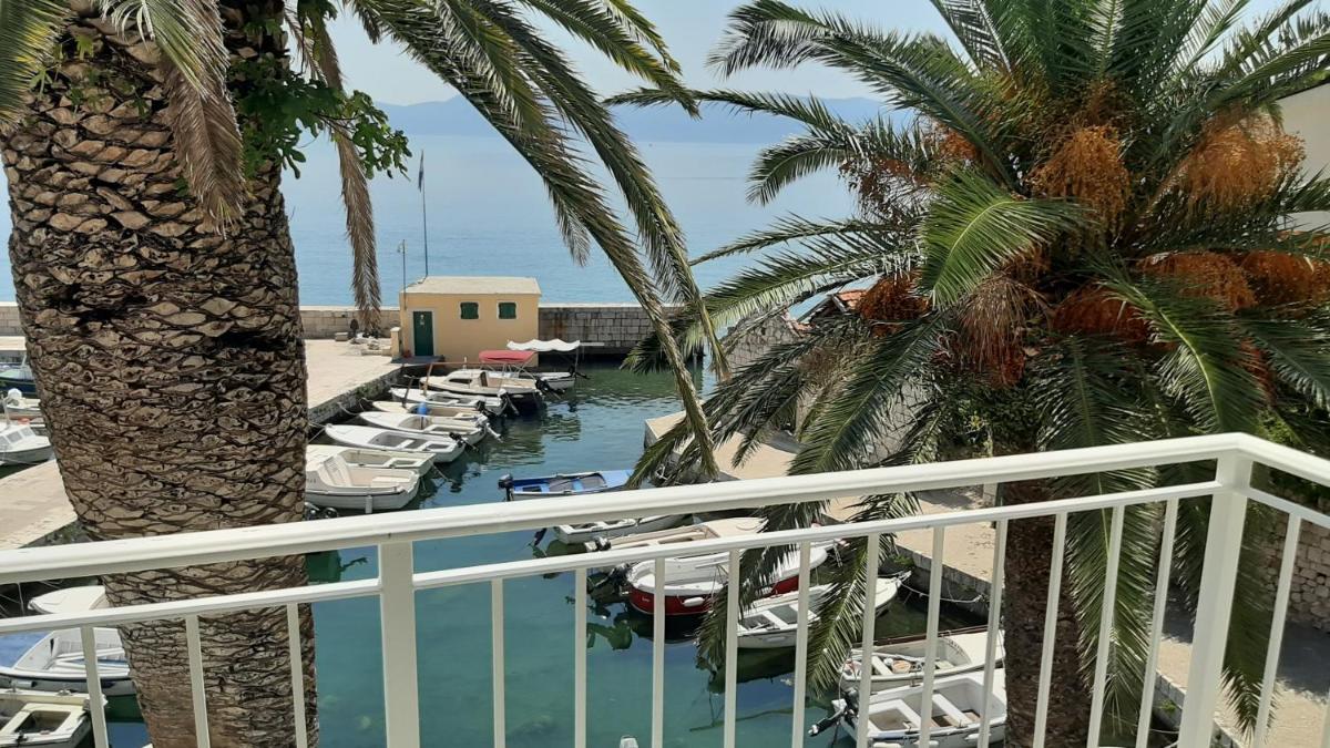Stari Porat - Housity