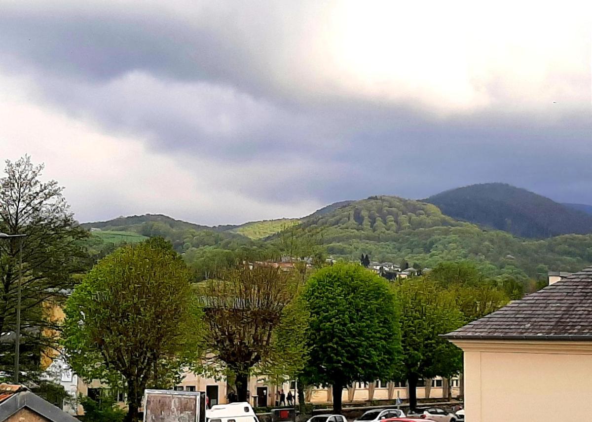 Charmant petit studio - Housity