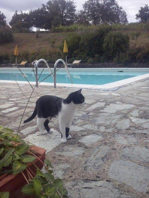 La casina di Tina - Housity