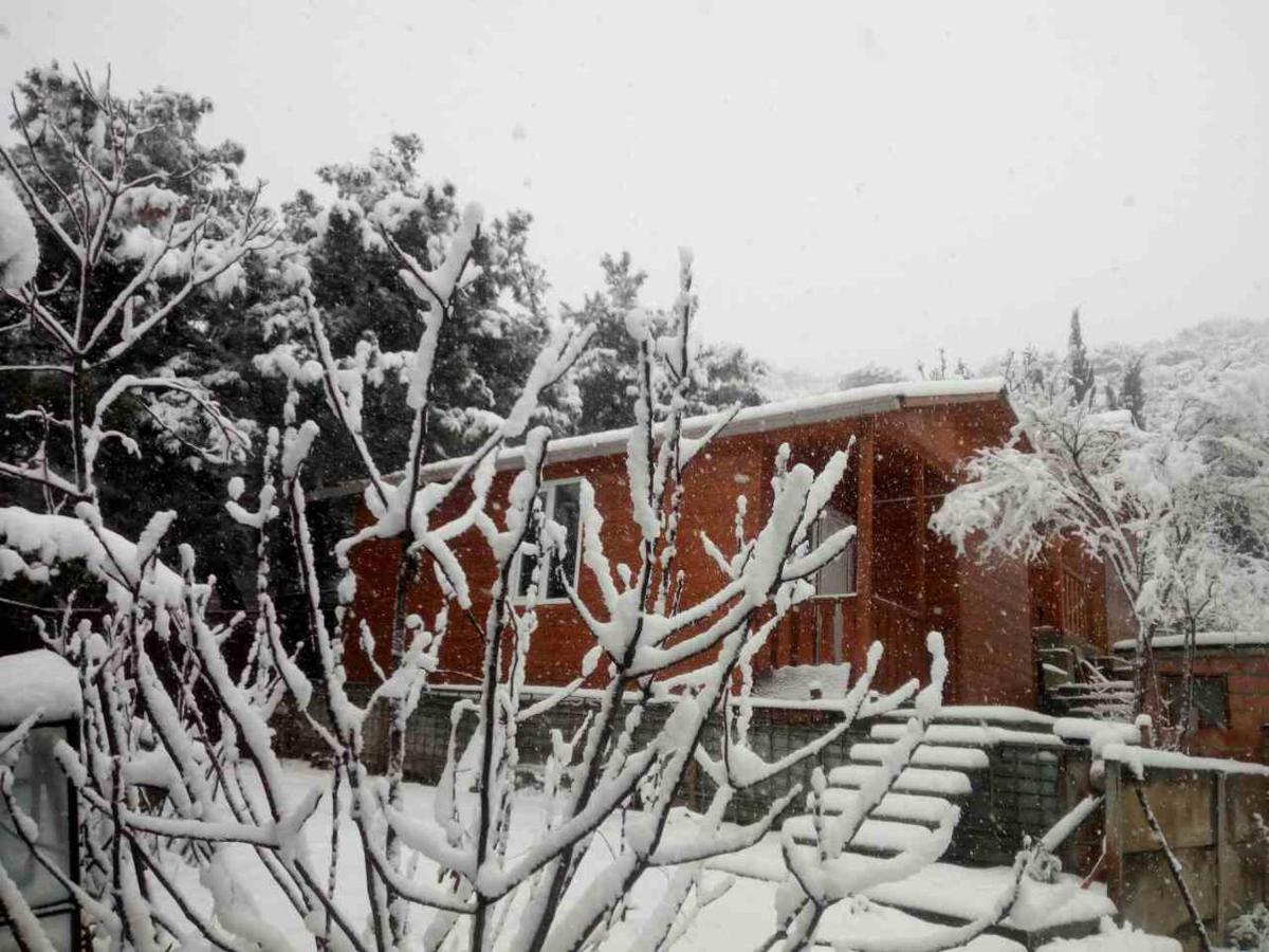 Wooden Cottages - Mtskheta - Housity