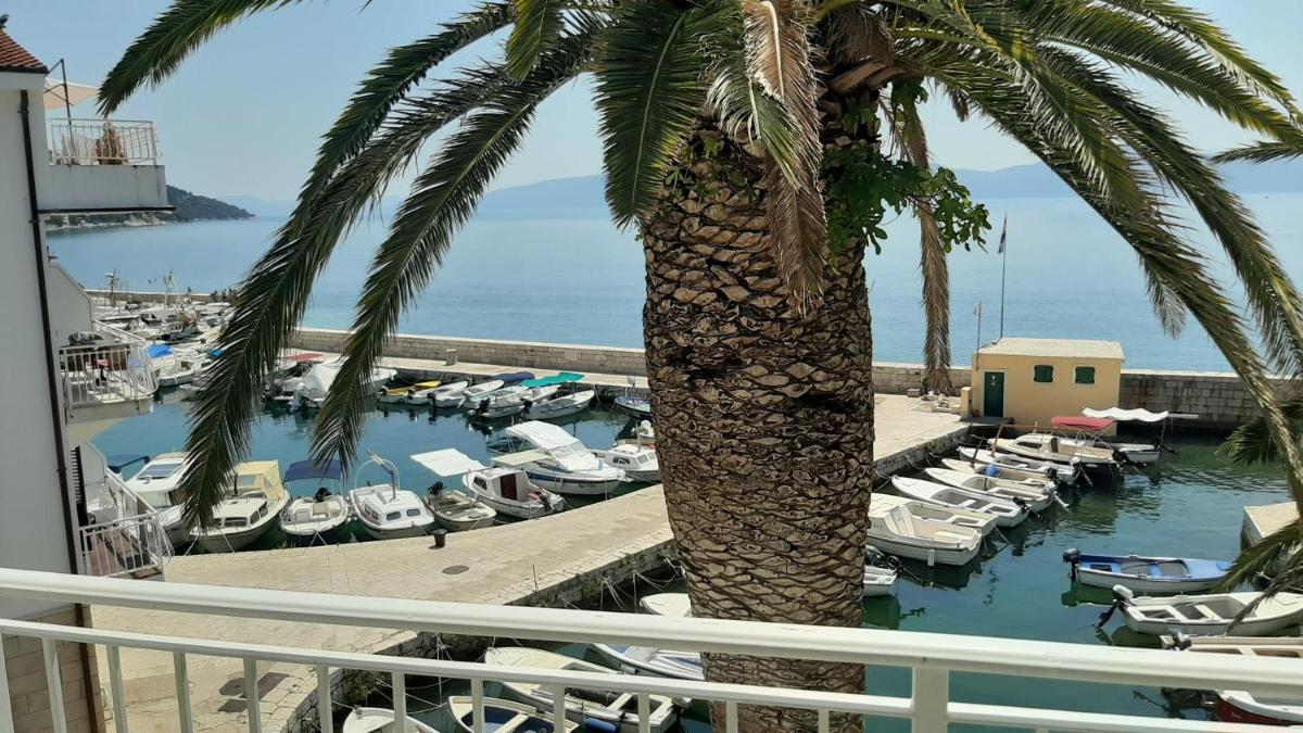 Stari Porat - Housity