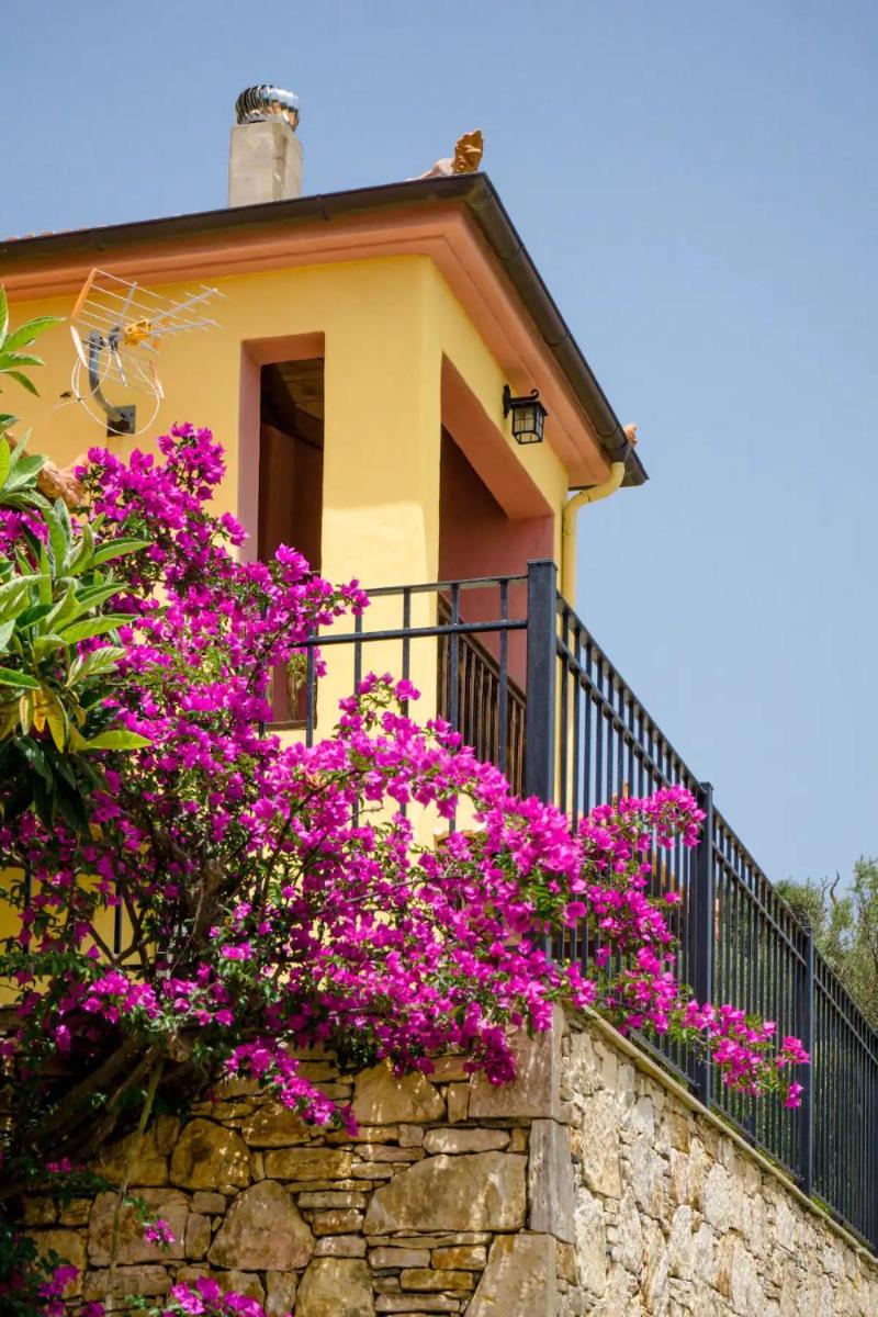 Katerina's Houses - Housity