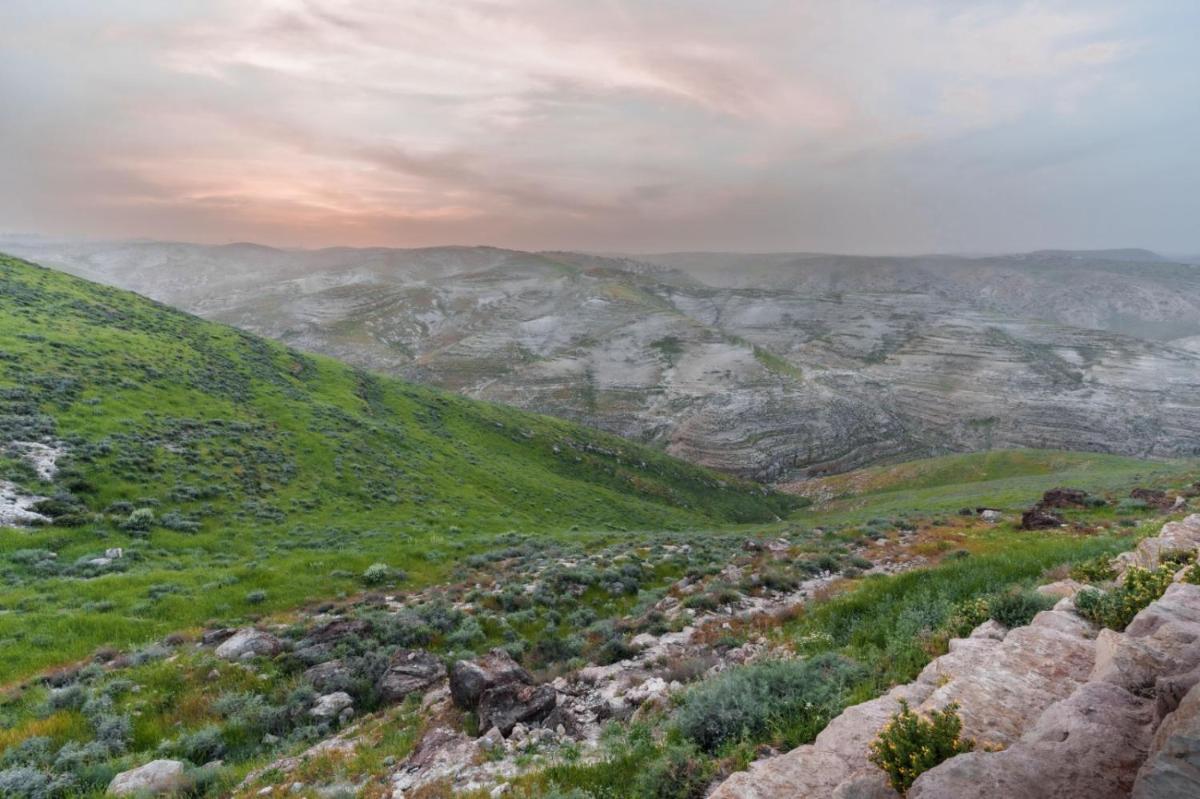 מוזה צימר - Housity