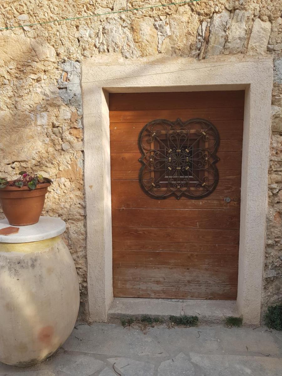 La Cave au Soleil du midi - Housity