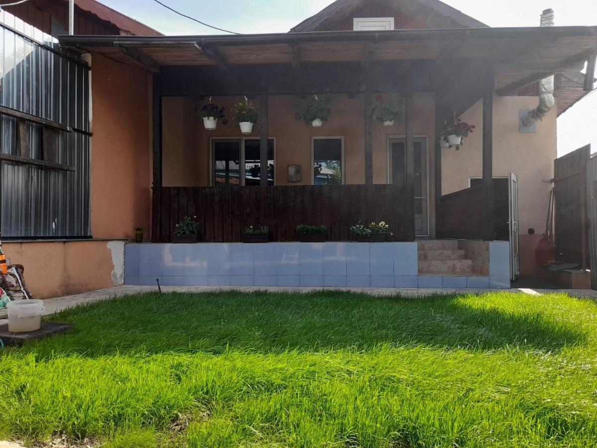 Central city house - Housity