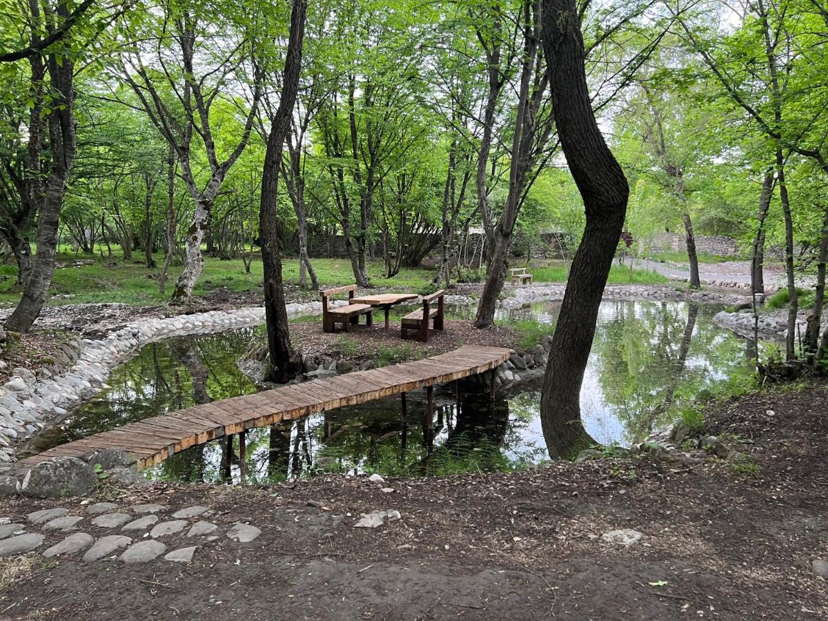 Qusar Forest - Housity