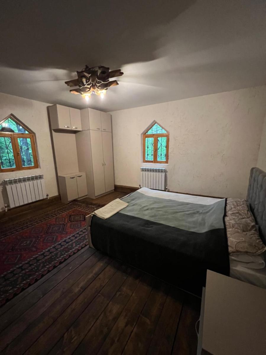 Qusar Forest - Housity