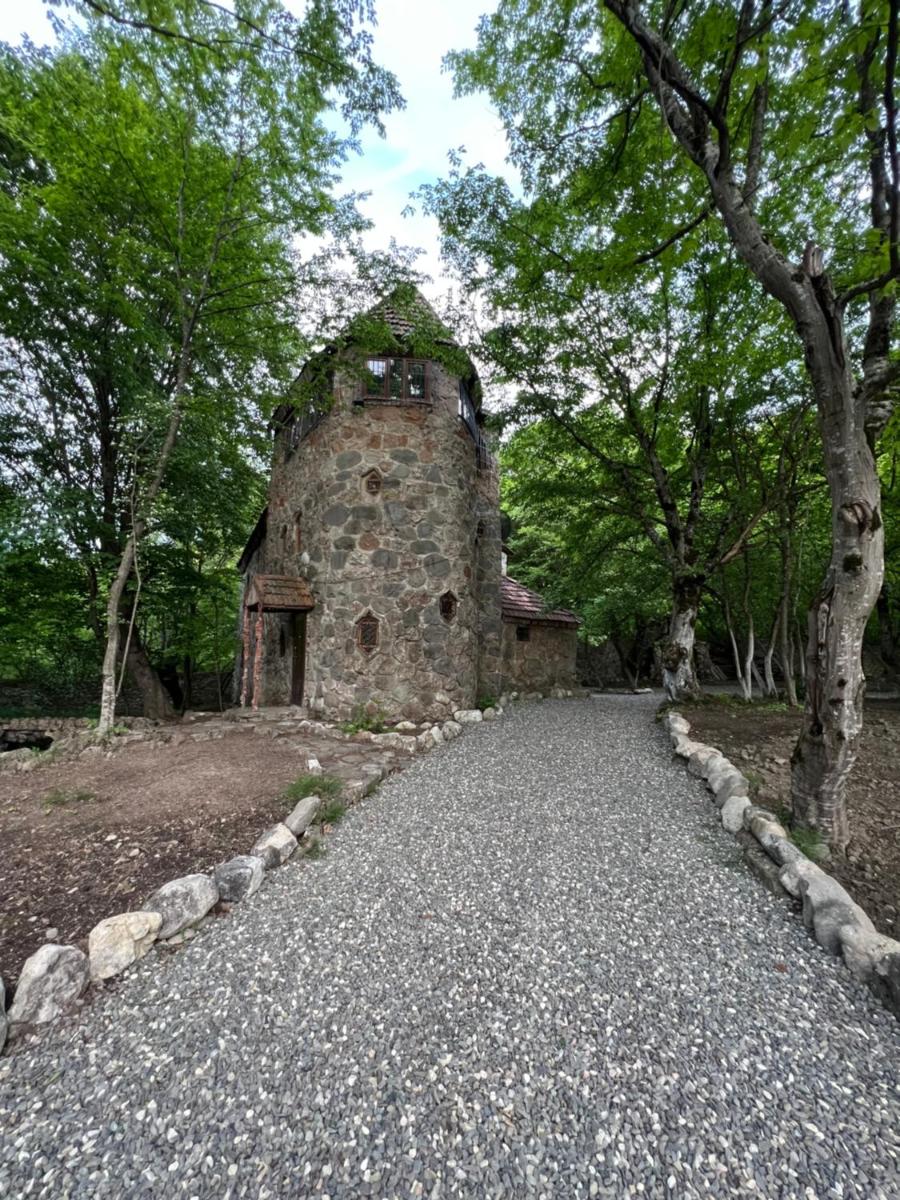 Qusar Forest - Housity