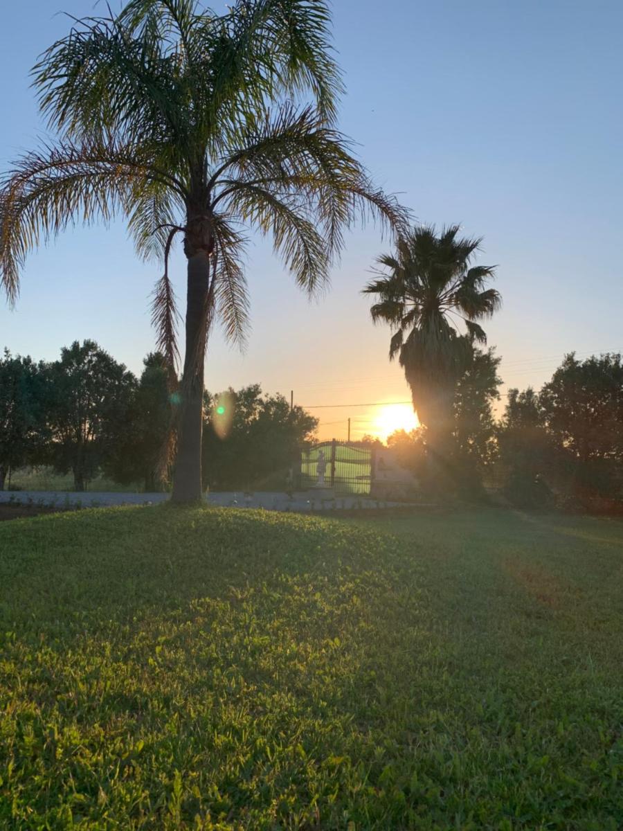 Villa sarda - Housity