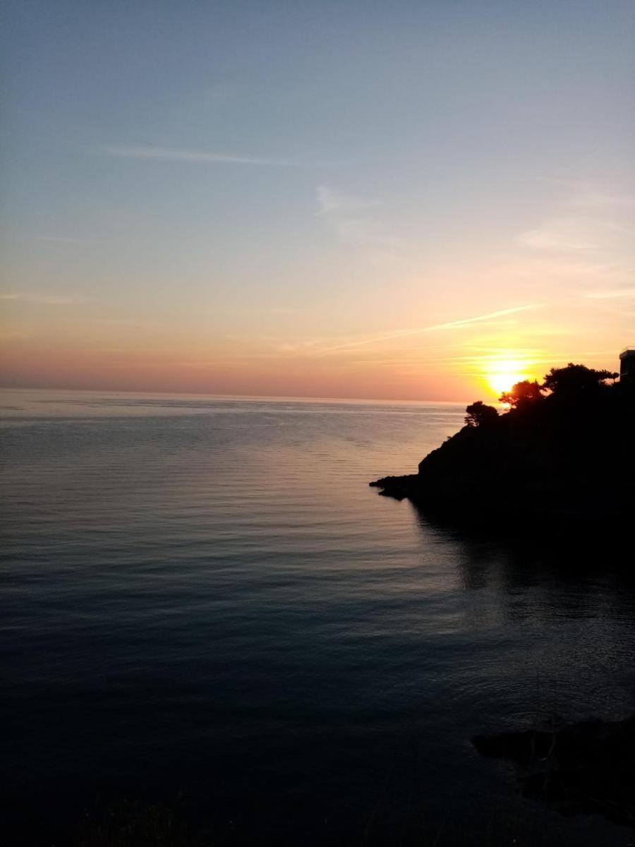 La villa Rosace - Housity