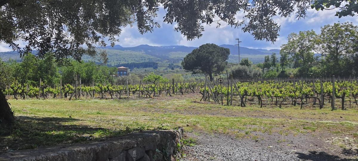 Suitetrails - La finestra sul vigneto