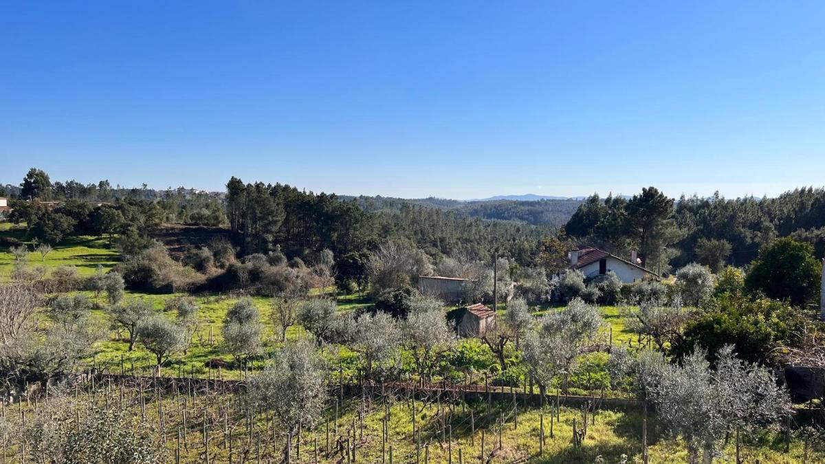 Casa do Avô Patrício - Amazing Country House - Housity