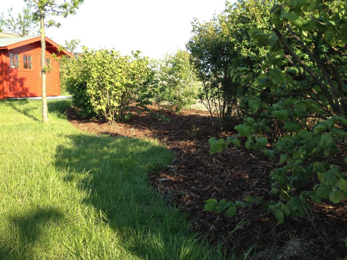 Apartment Strandkate Wohnung Strandhafer - Housity