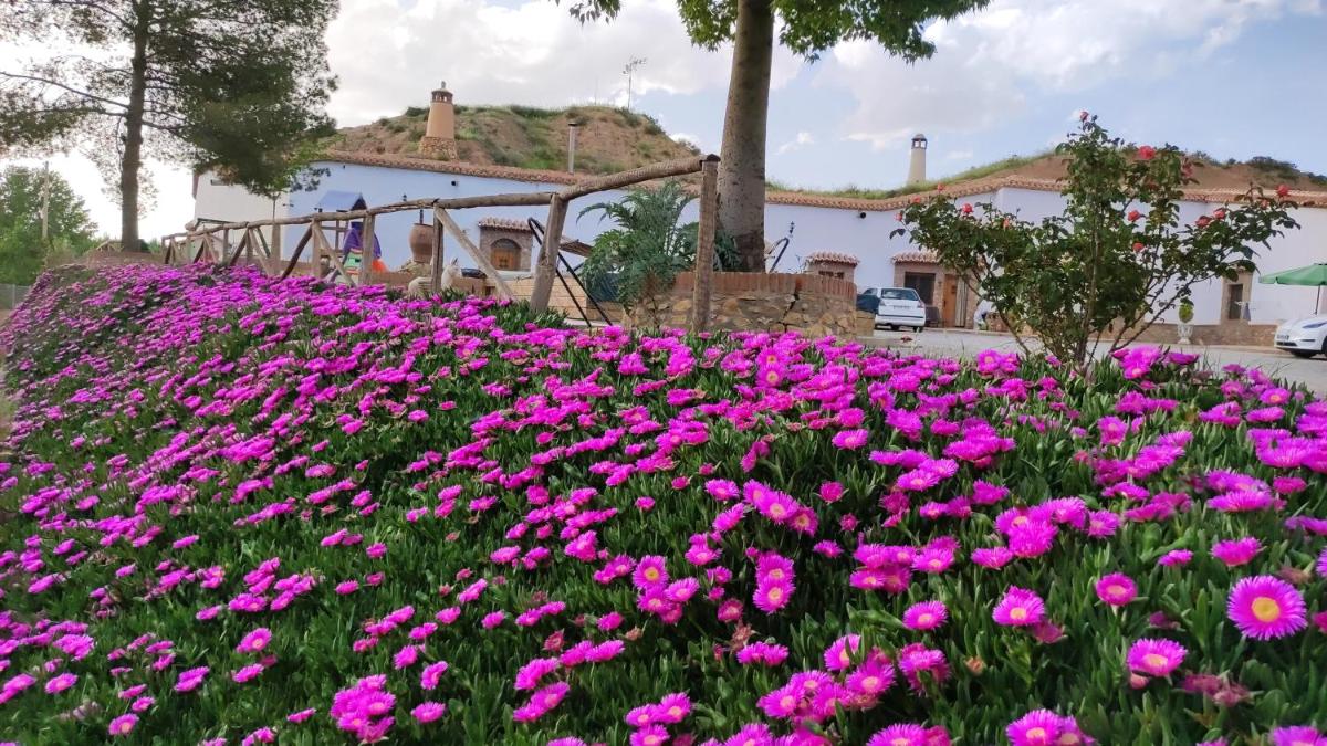 Suitetrails - One bedroom appartement with shared pool and furnished garden at Purullena