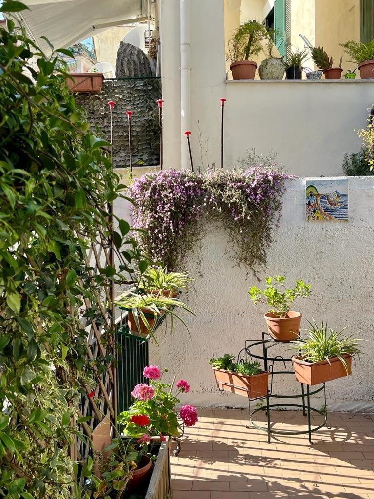 Casa Di Nicola - Housity