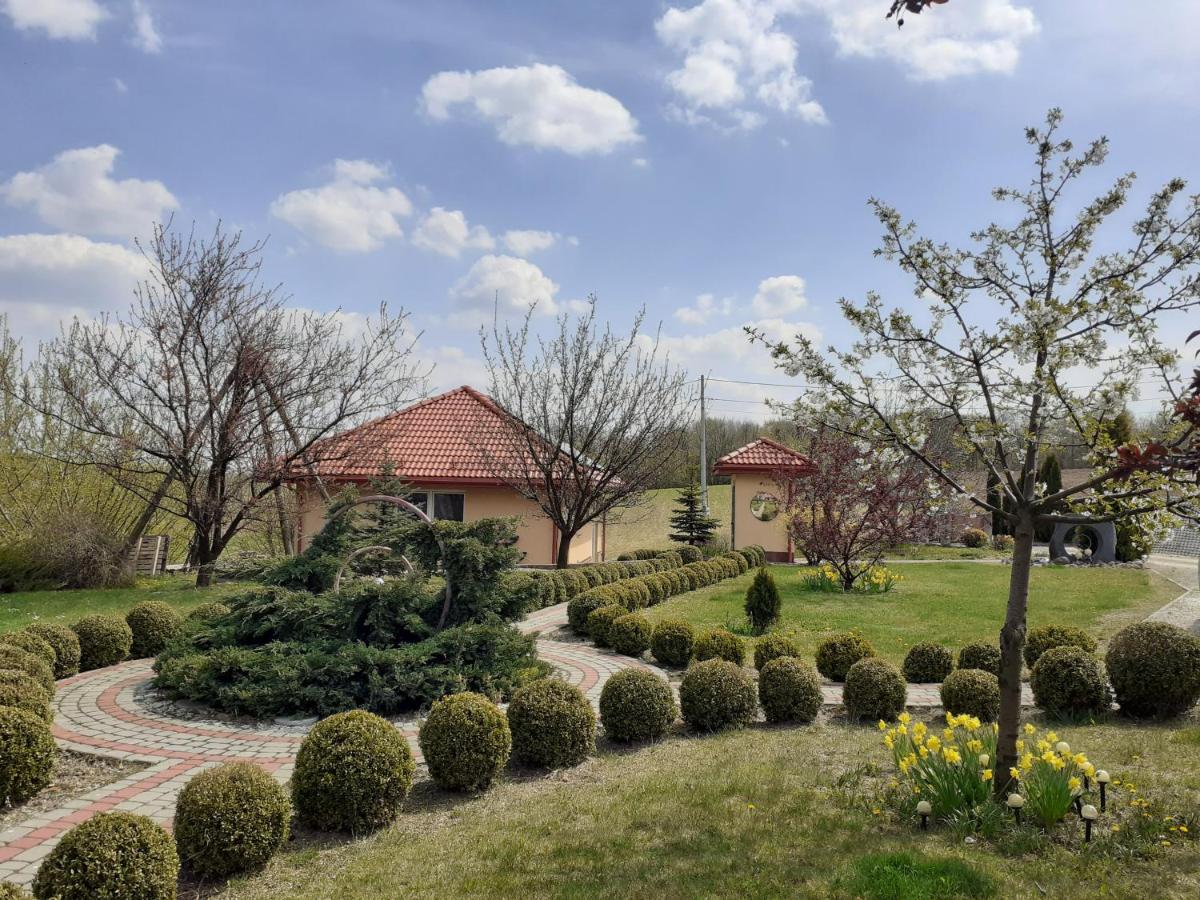 Dom Międzygórz - Housity