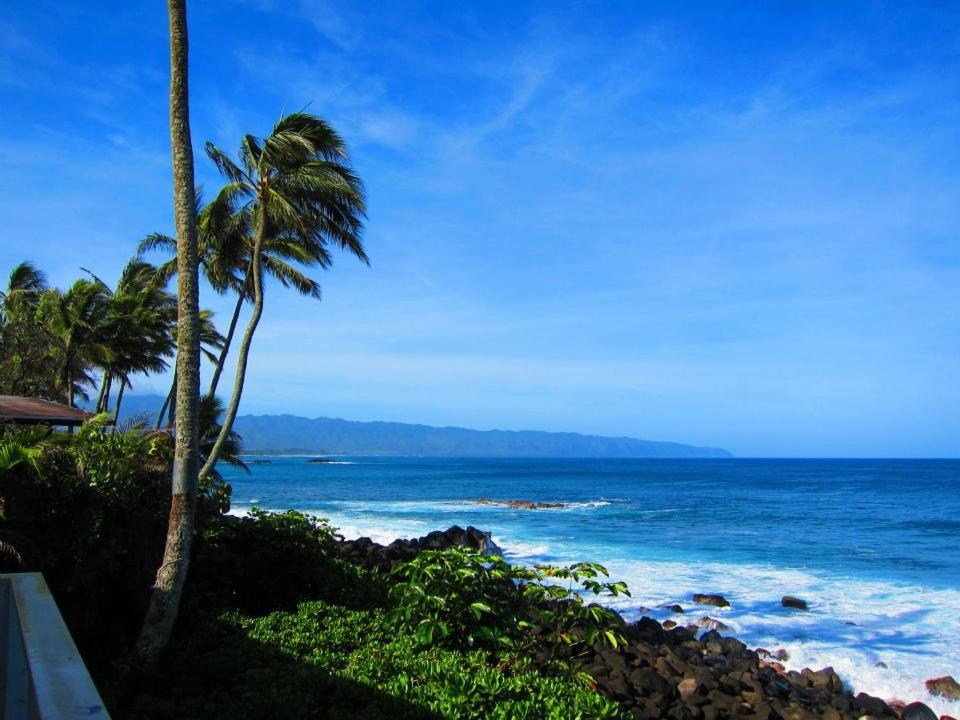 Waimea Bay Shoreline House - Housity
