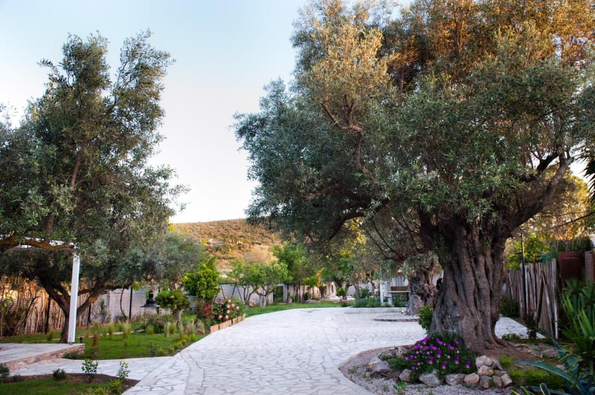 Cottage Villa with Private Pool & Garden 5' from Airport - Housity