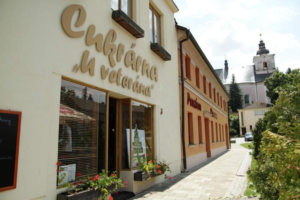 Penzion U Veterána - Housity