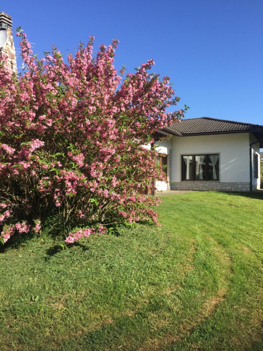 Paradiso sul lago - Housity