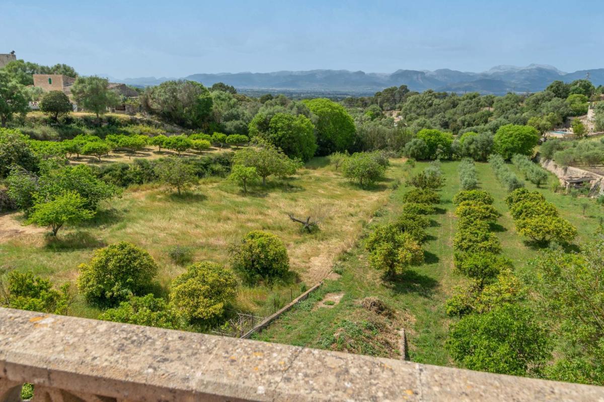 Can Rei -Costitx- - Housity