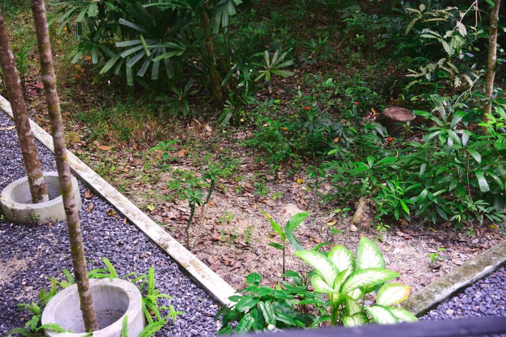 Chamomile Cabin - Housity