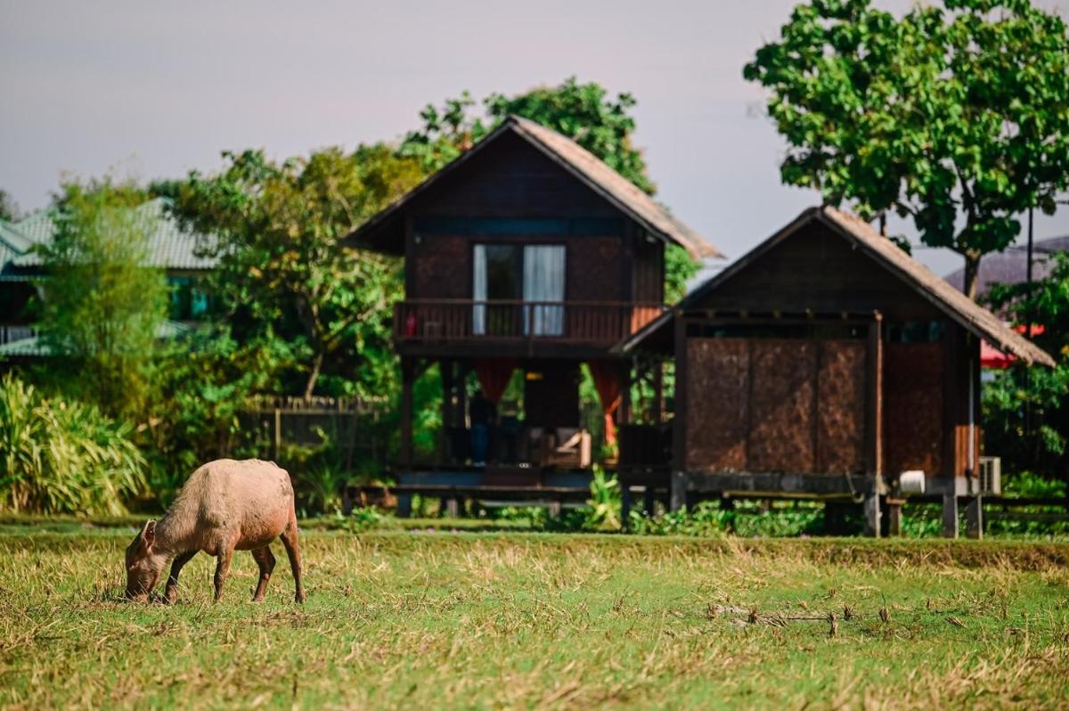 The Gemalai Village - Housity