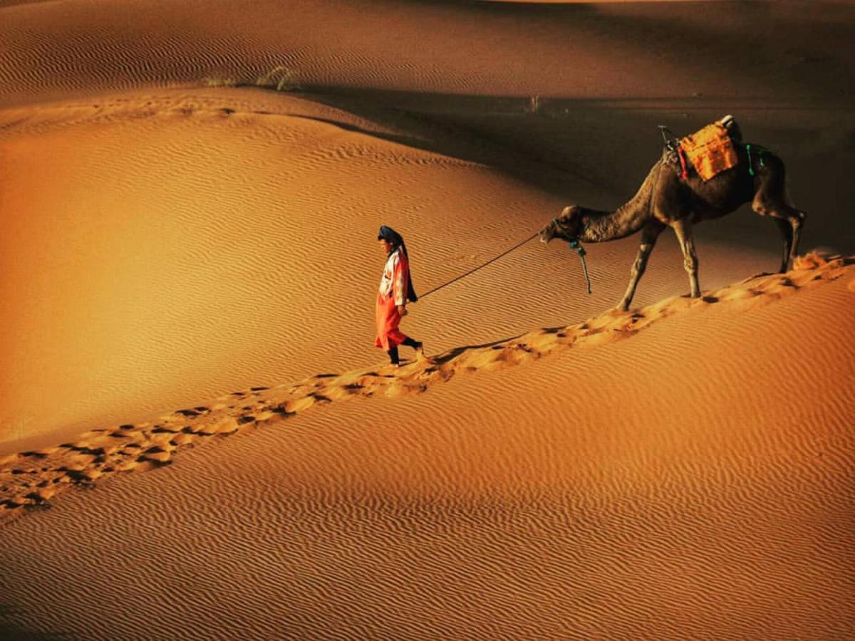 Merzouga Exotic Luxury Camp Is The Best Location - Housity