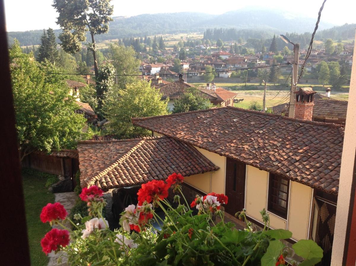 Guest House Lina - Housity