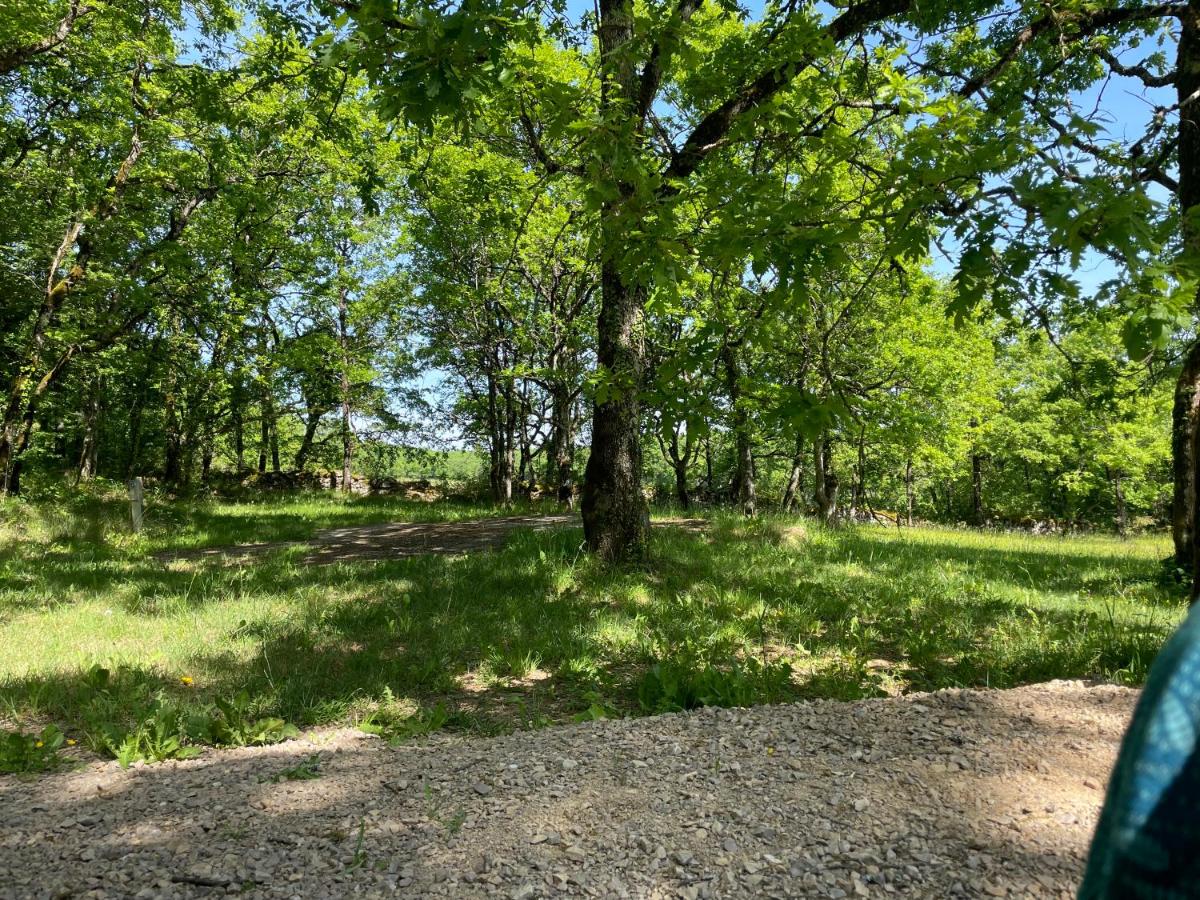 Chalet Loda cosy spa privé - Housity