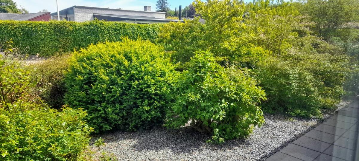 Accomodation at Jasmin house - Housity