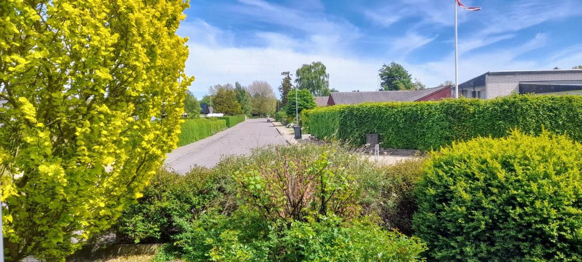 Accomodation at Jasmin house - Housity