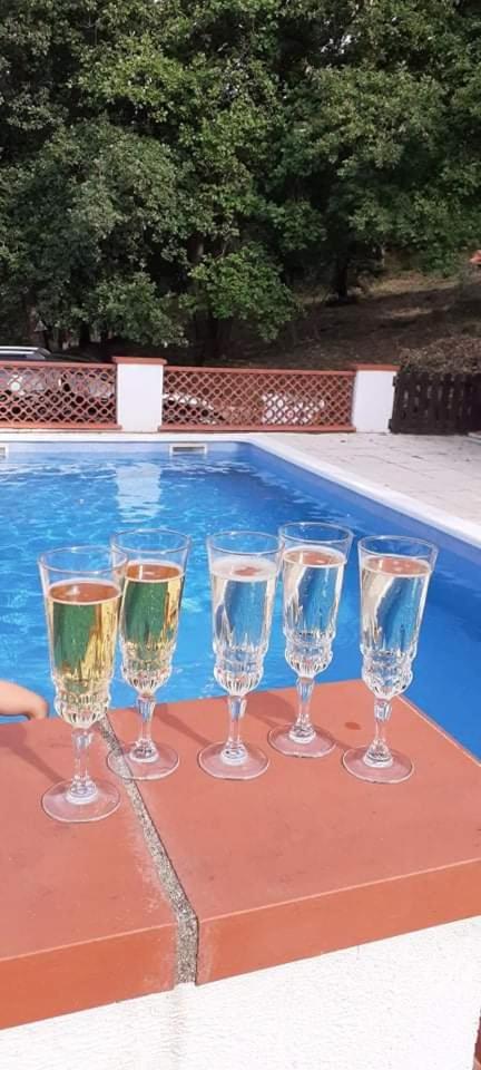 Suitetrails - Travelers house - villa with a private pool