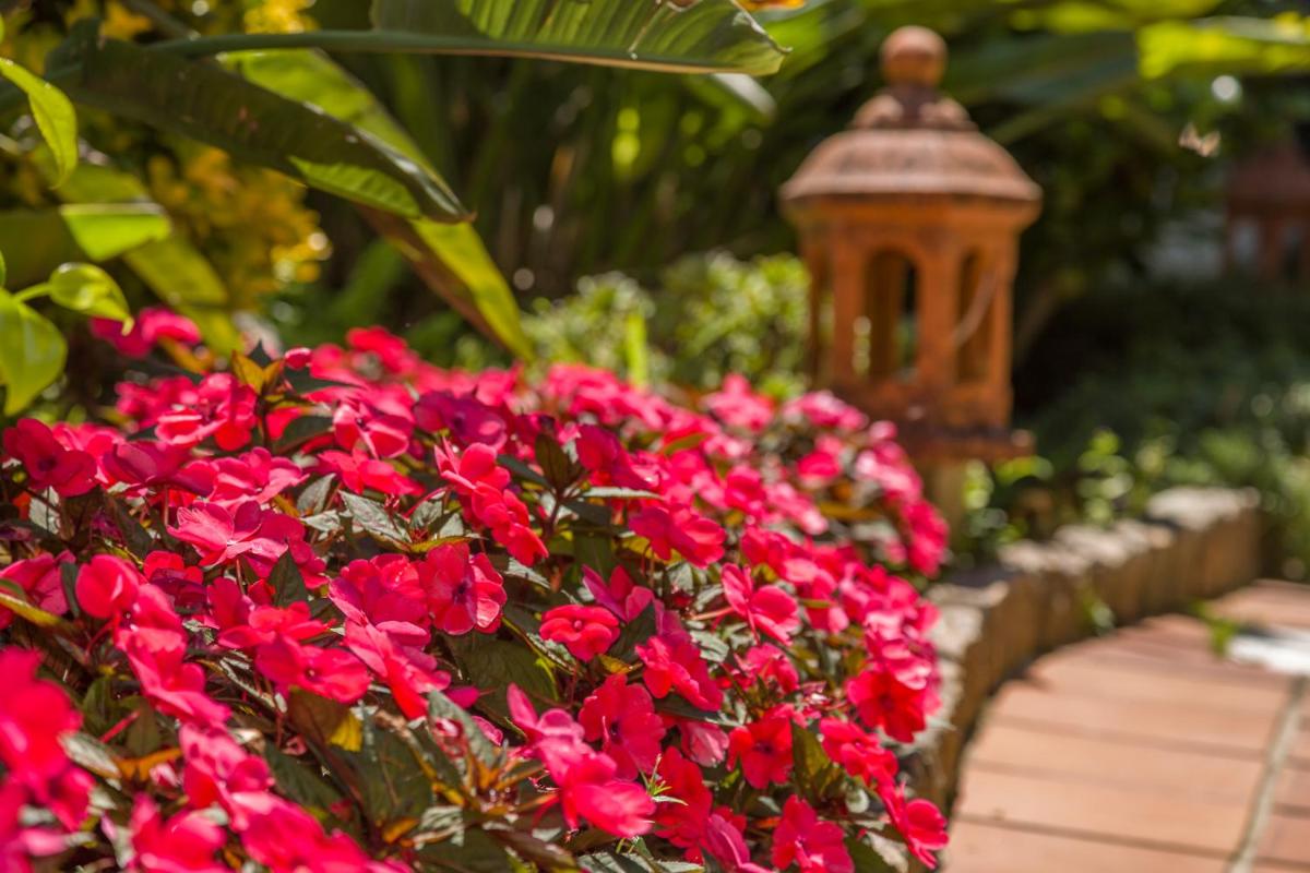 Jardín al aire libre en Hotel Spa Bosque mar
