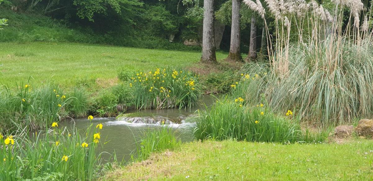 Moulin de l'Enéa, XVIIème, vue rivière et sur beau parc aboré 2,2 hectares. - Housity