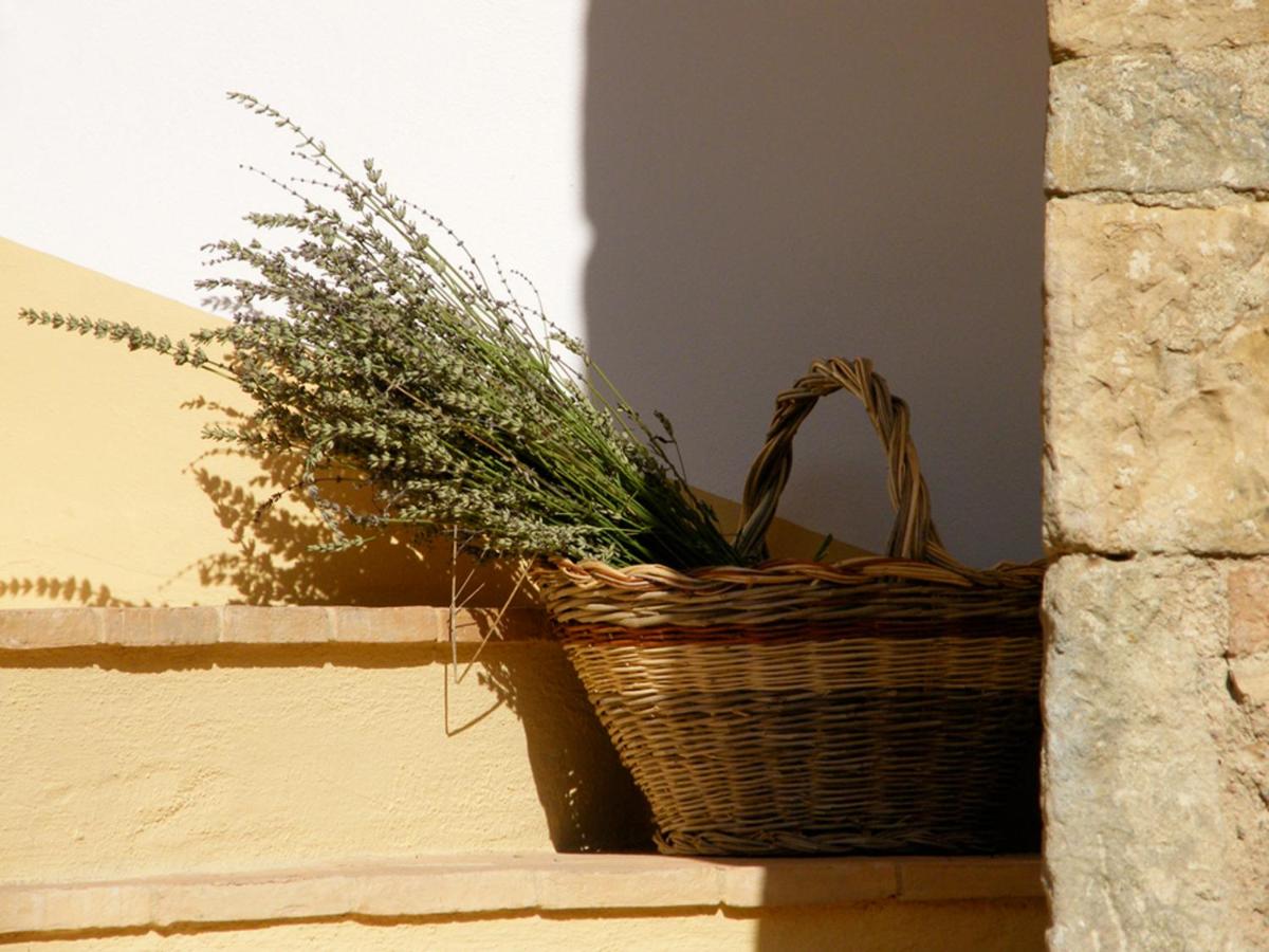 Holiday home Cielsereno - Housity