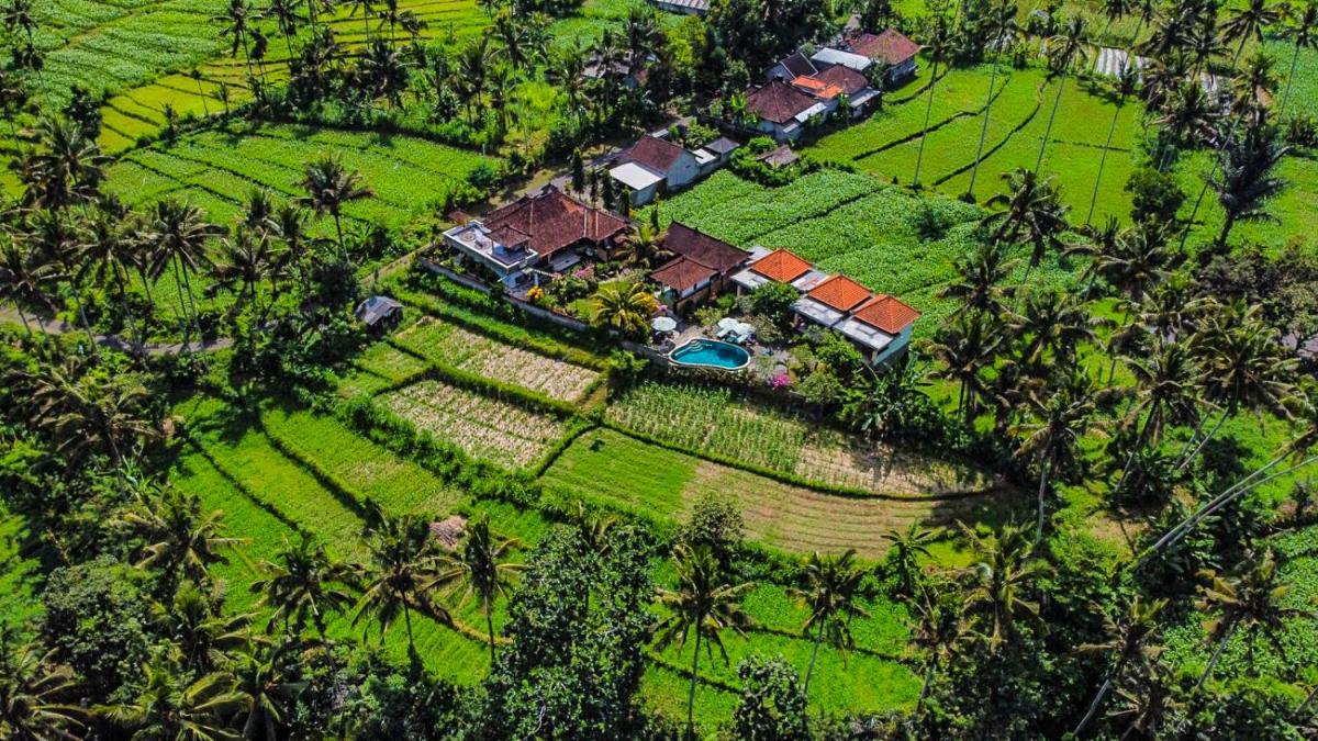 Dana Bali Ricefield Villa - Housity