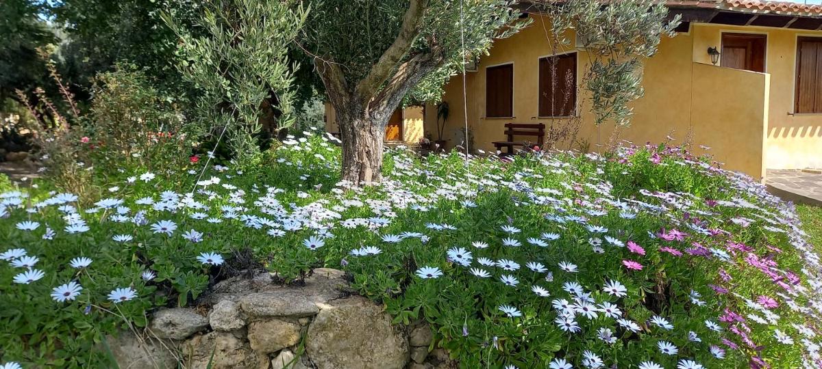 Suitetrails - Agriturismo Bachile Bertula