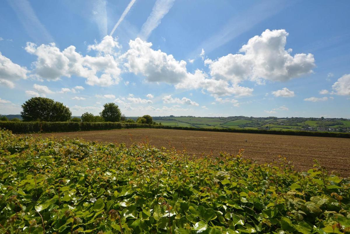 The Bothy - Ground floor conversion near Bath and Priston with outstanding views - Housity