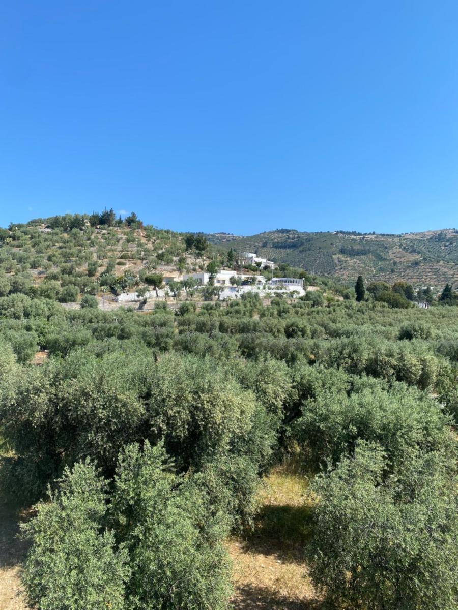 Suitetrails - Casa Uliveto