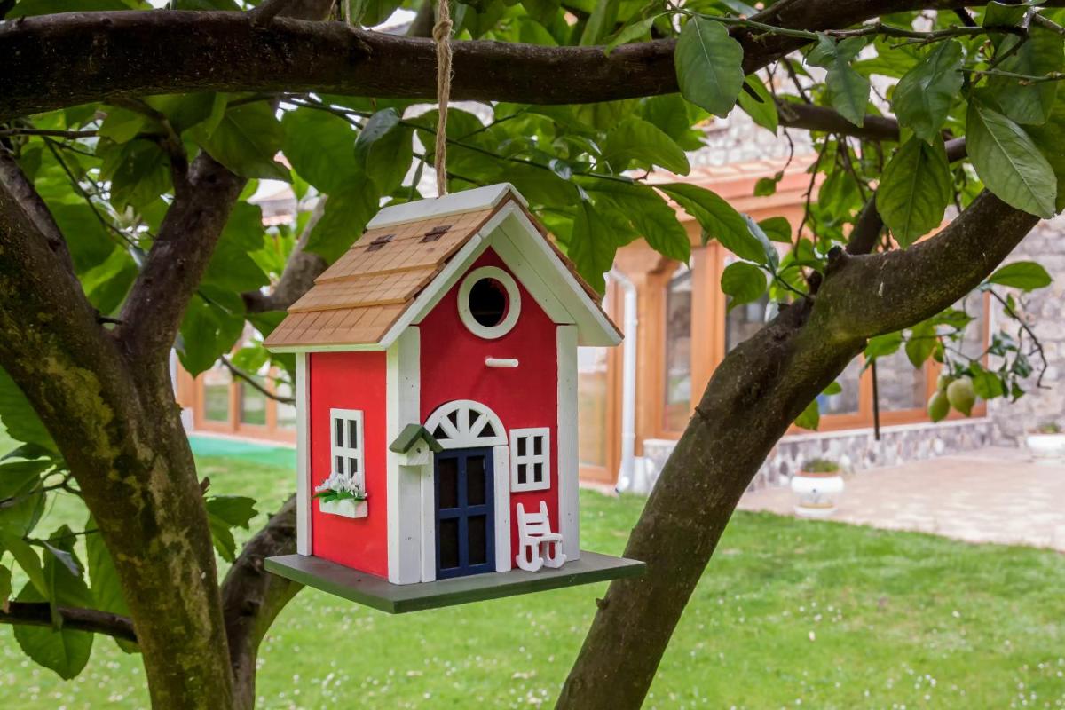 La casa de Virginia - Housity