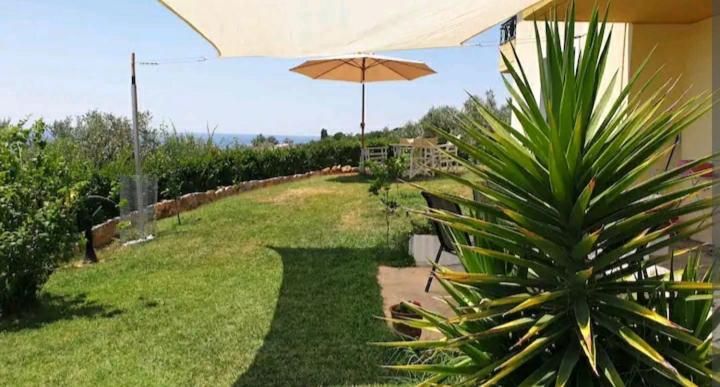 Panorama Olive Garden Apartment - Housity