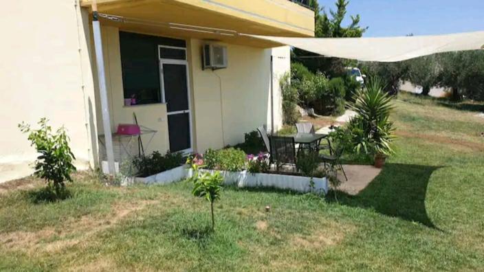 Panorama Olive Garden Apartment - Housity