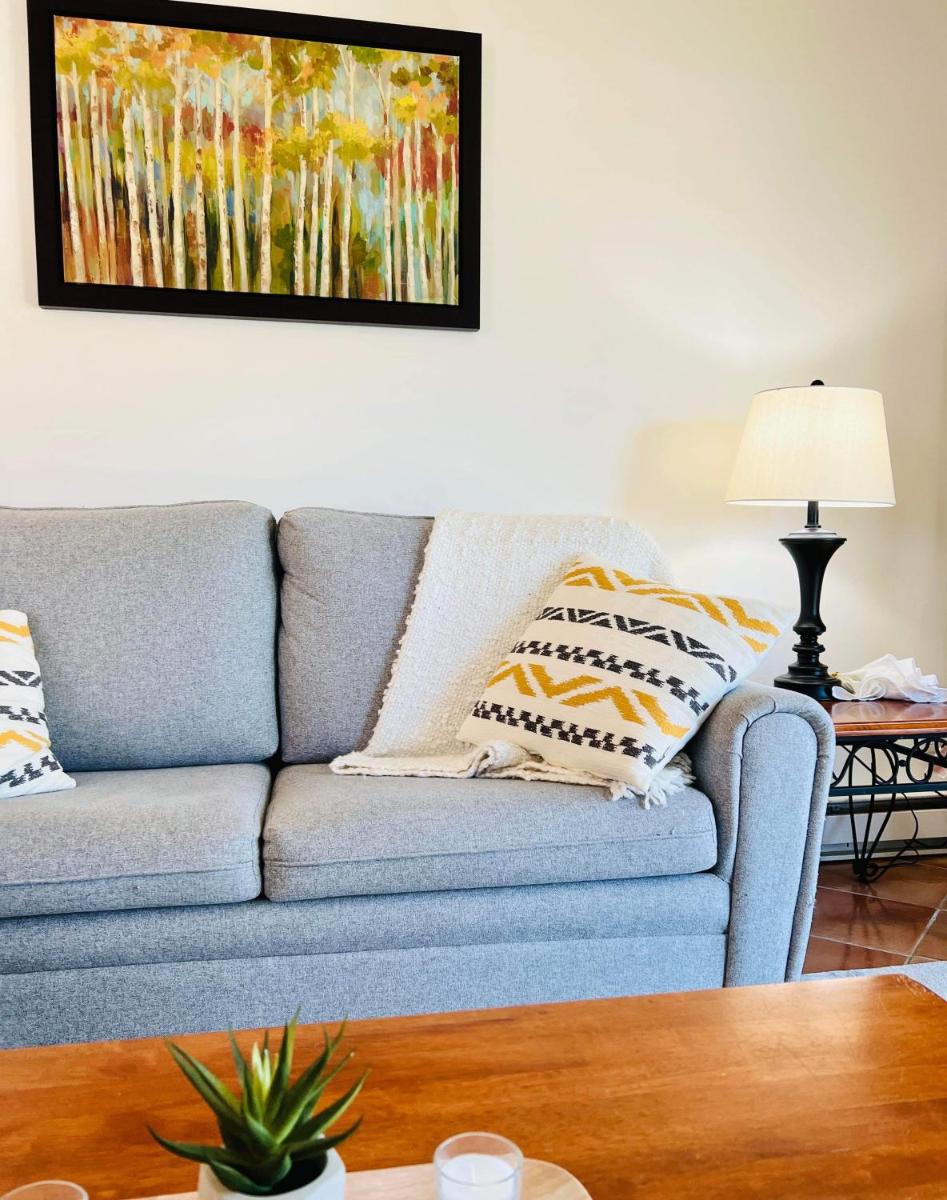 Superbe condo plage-memphremagog - Housity