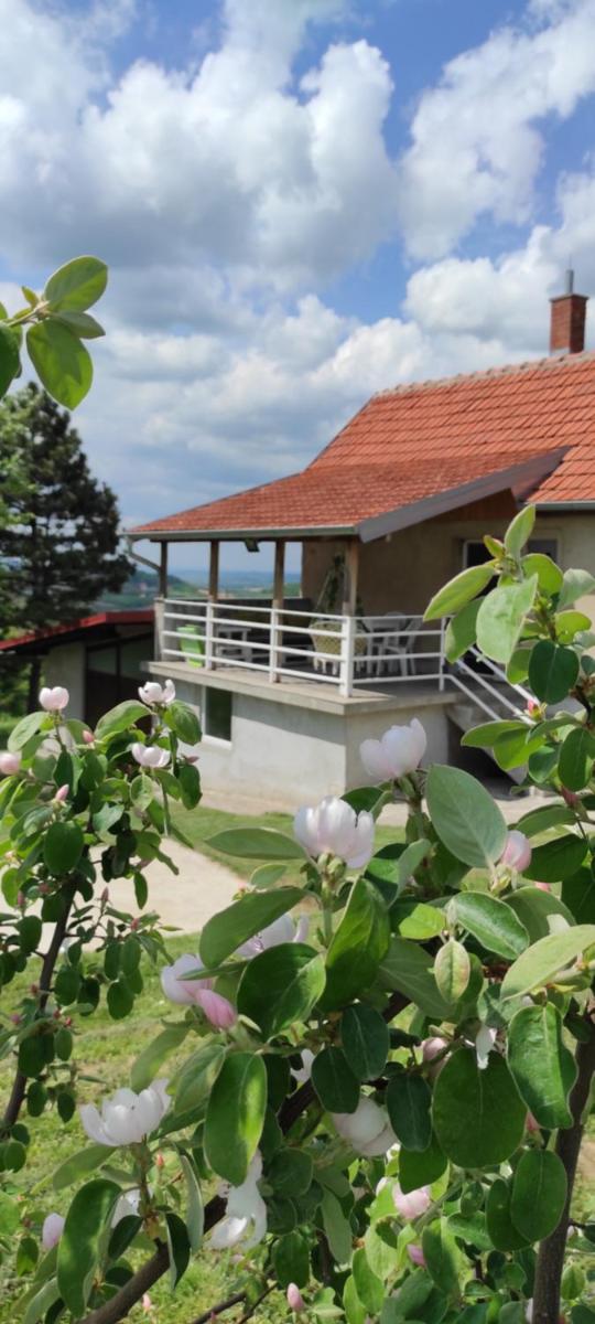 Vikend house - Housity