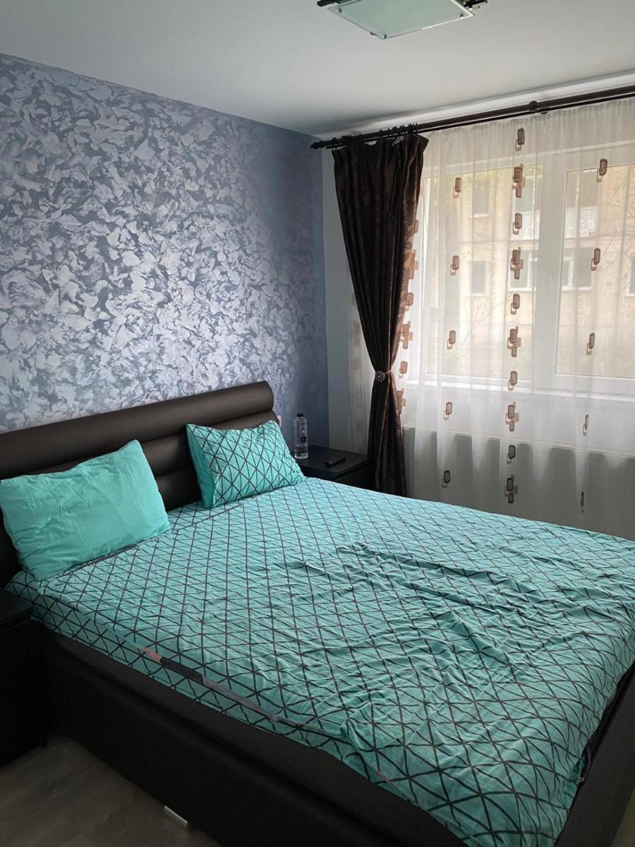 Apartament Plantelor - Housity