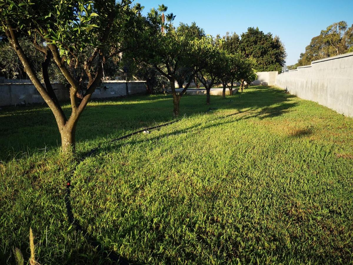 Villa Civetta a Galatina - LE07502991000024418 - Housity