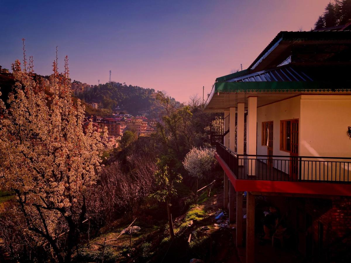 Suitetrails - Orchid Homestay