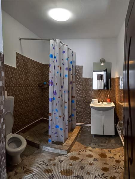 Pensiunea Narcisa cu Ciubar - Housity